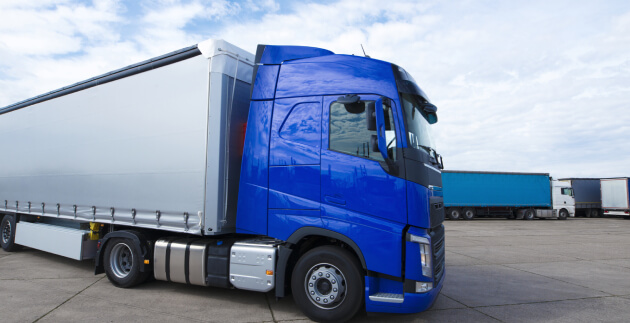 cok-dilli-e-ticaret-platformu